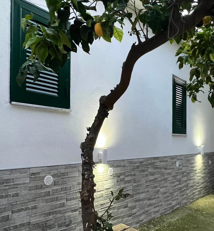B&B Casa Vacanze Nonna Clara Nápoles Exterior foto